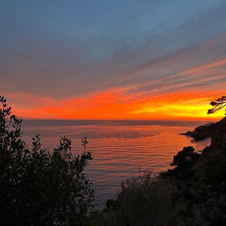⭑ Sea Views + Private Beach. What Else? ⭑ Тосса-де-Мар Экстерьер фото